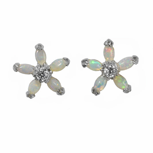 Sterling Silver Solid Light Opal Earrings (12E-SR)