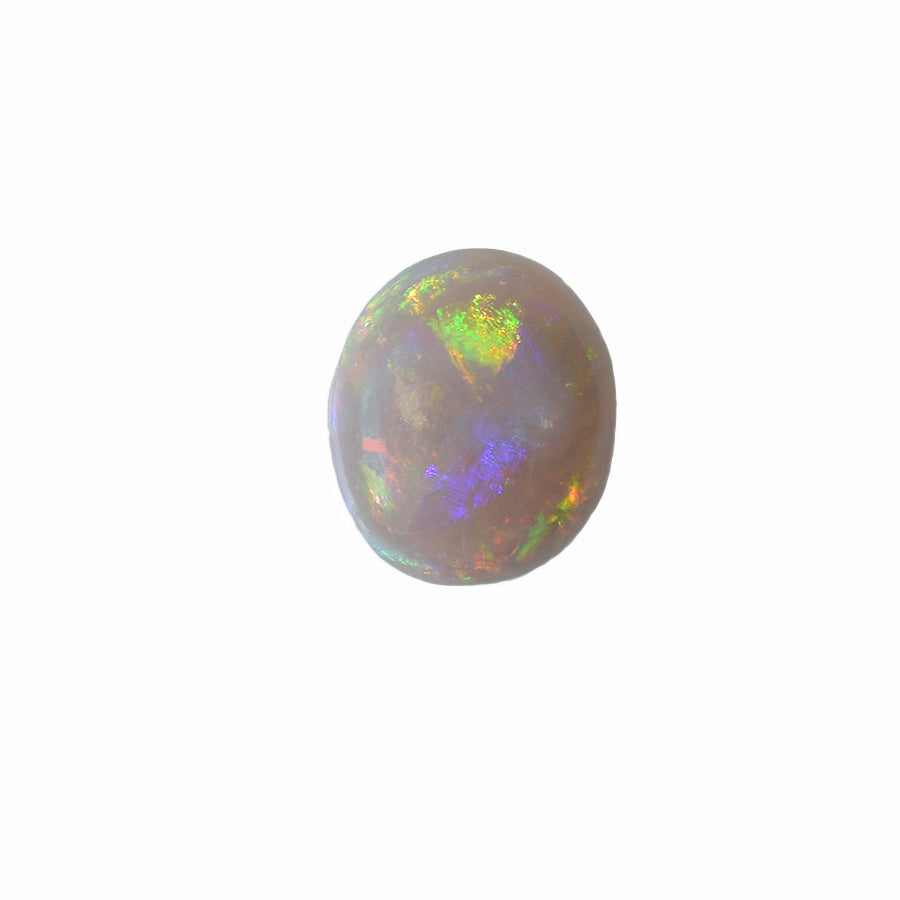 Solid Black Opal S49