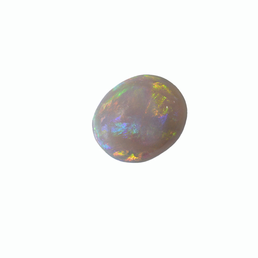 Solid Black Opal S49